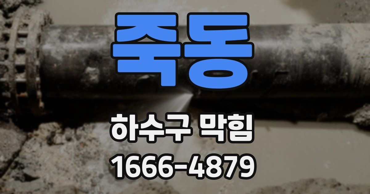 죽동 하수구 막힘