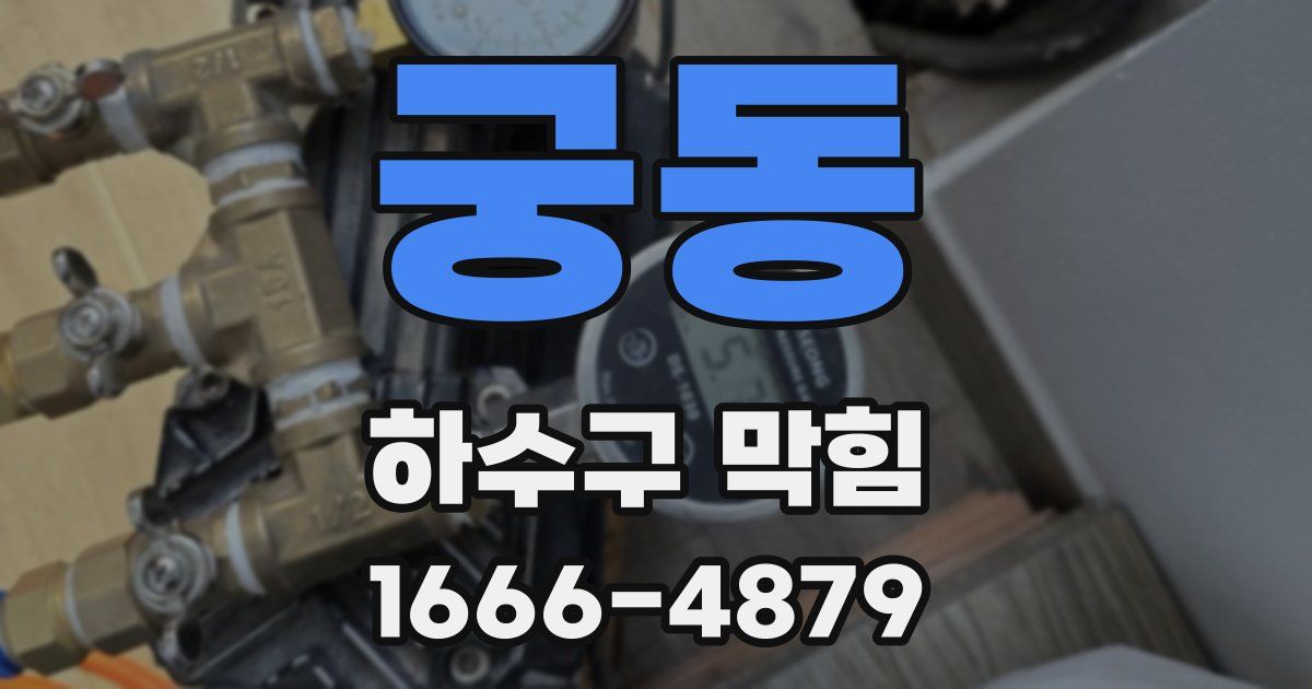 궁동 하수구 막힘