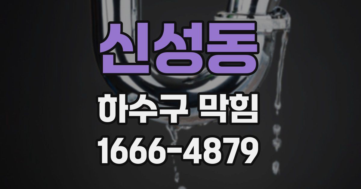 신성동 하수구 막힘