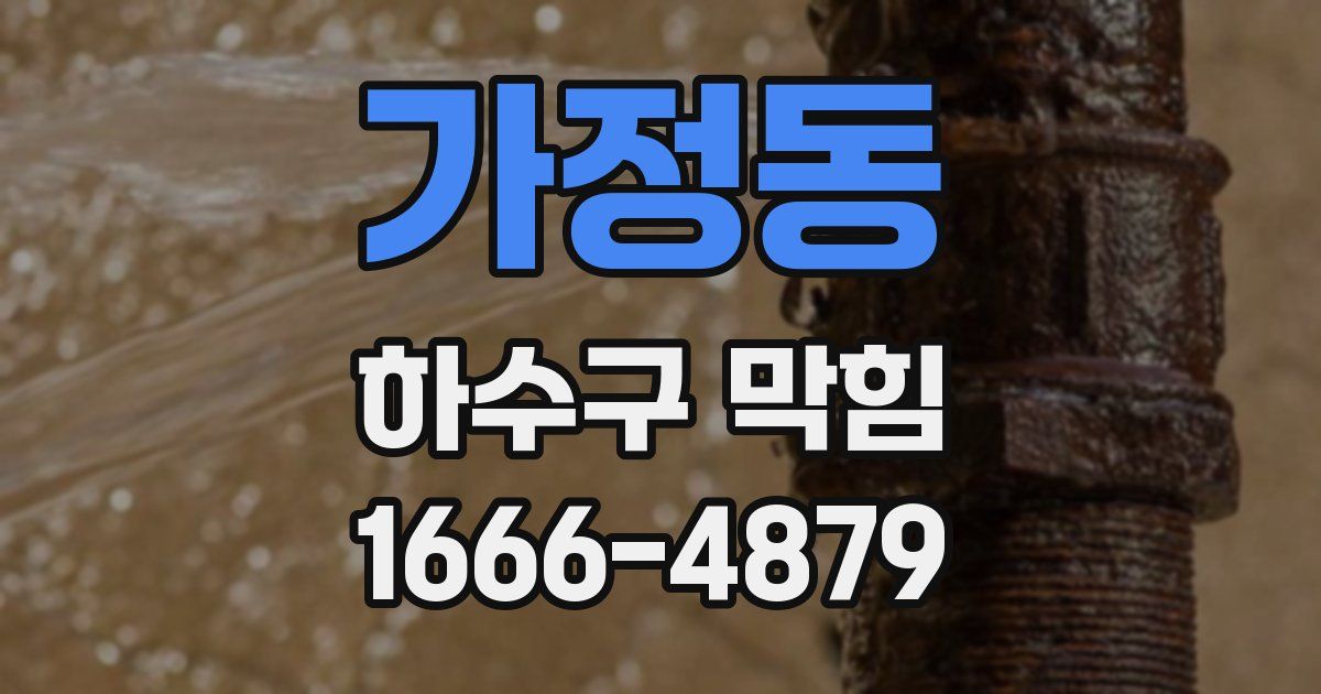 가정동 하수구 막힘