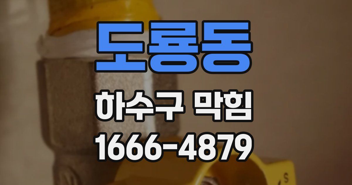 도룡동 하수구 막힘