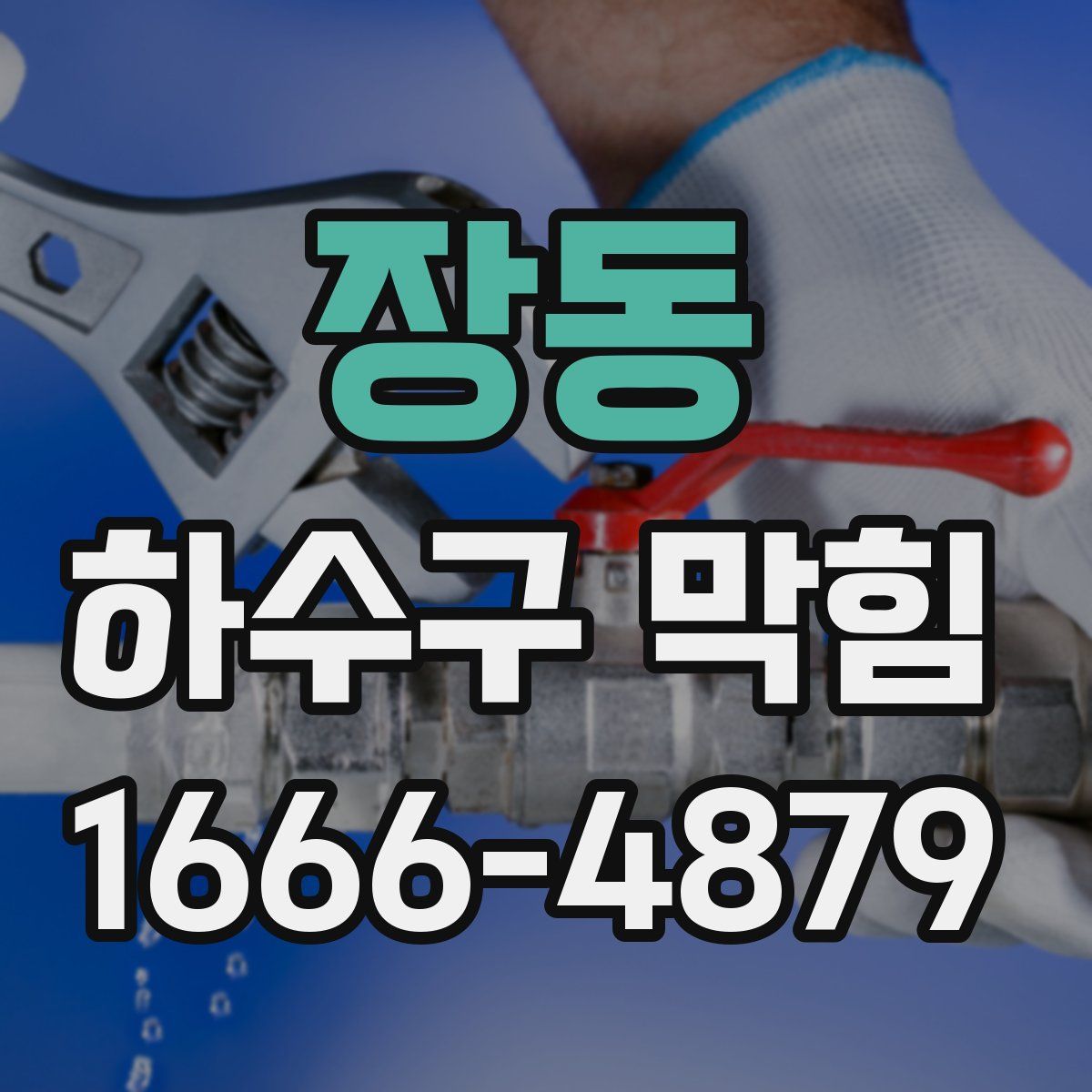 장동 하수구 막힘