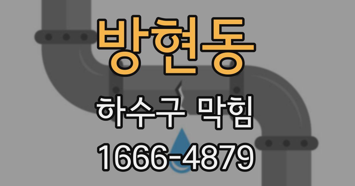 방현동 하수구 막힘