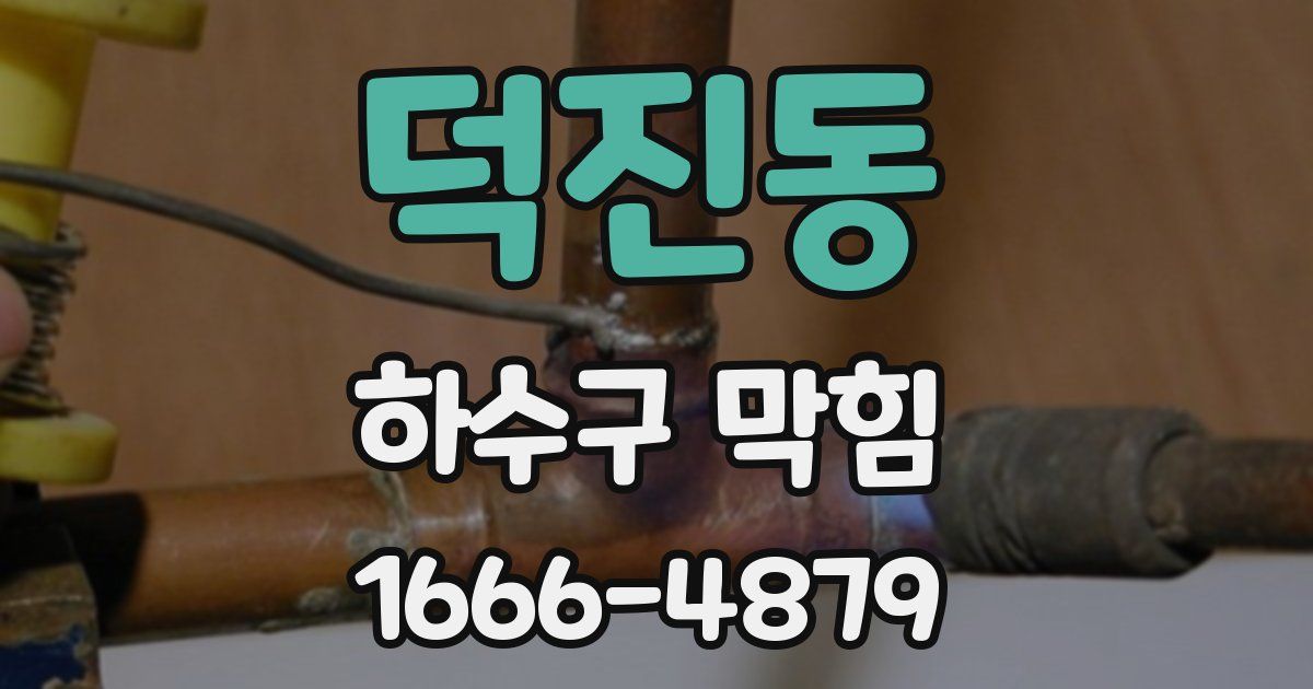 덕진동 하수구 막힘