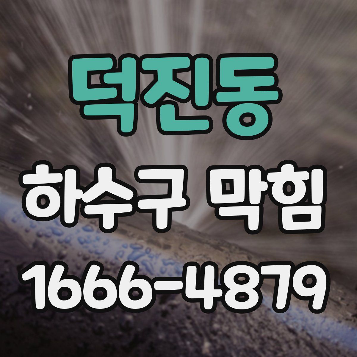 덕진동 하수구 막힘
