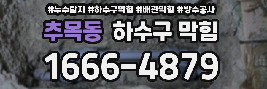 추목동 하수구 막힘