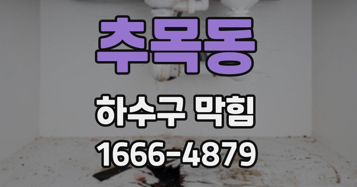 추목동 하수구 막힘