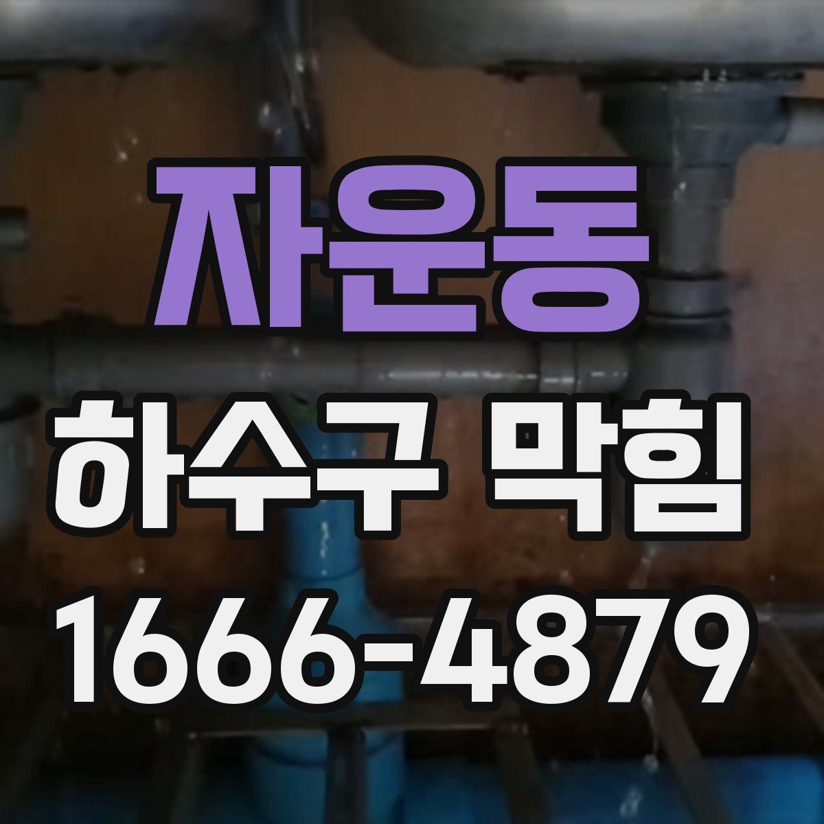 자운동 하수구 막힘