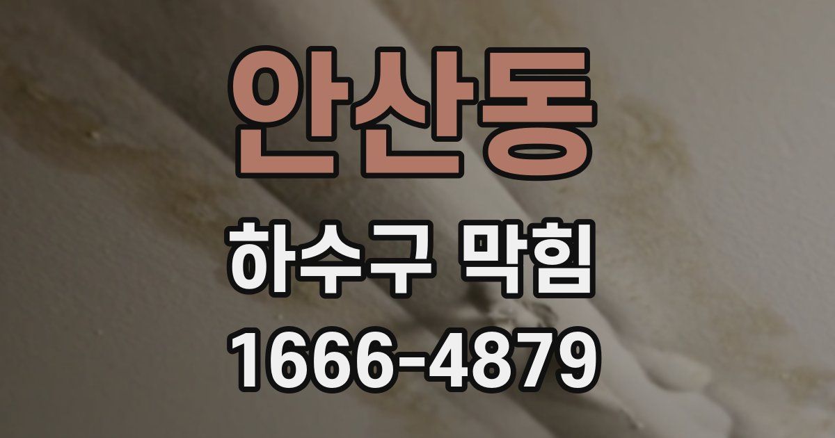 안산동 하수구 막힘