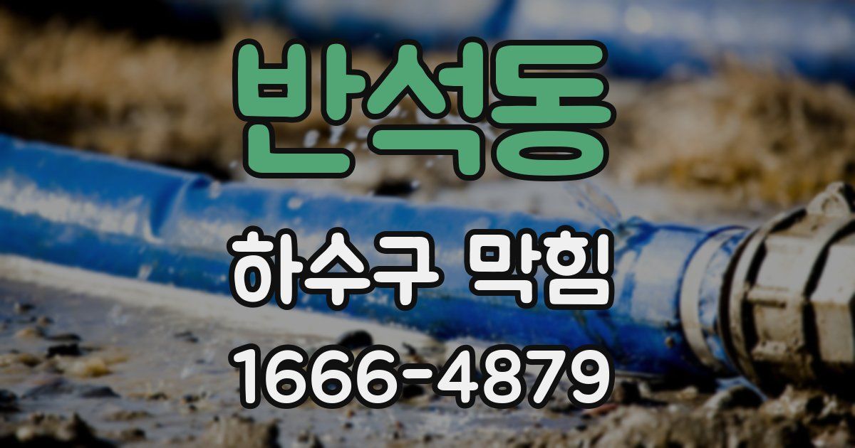 반석동 하수구 막힘