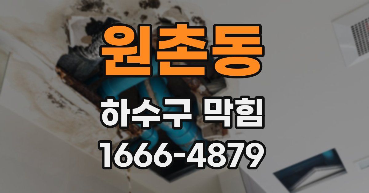 원촌동 하수구 막힘