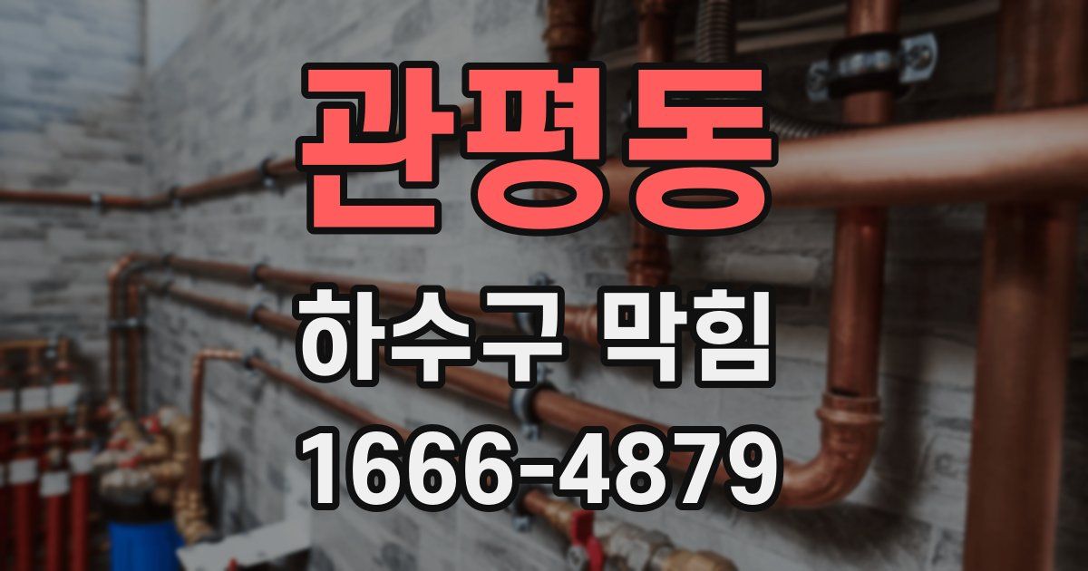 관평동 하수구 막힘