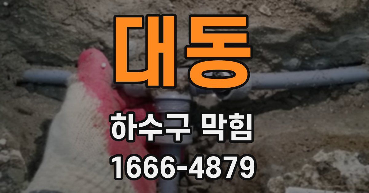 대동 하수구 막힘