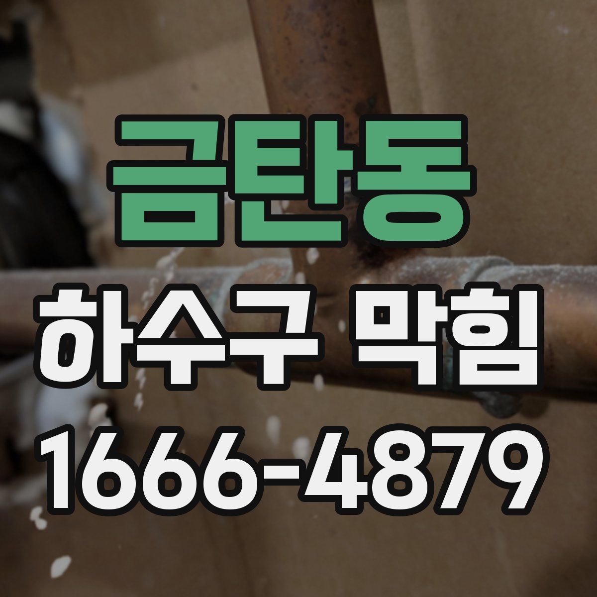 금탄동 하수구 막힘