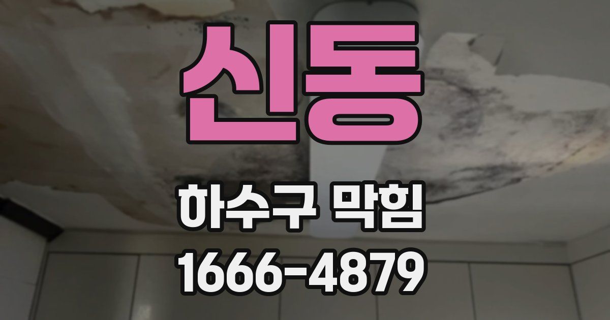 신동 하수구 막힘