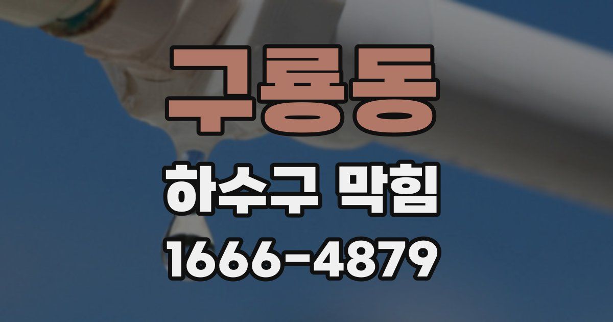 구룡동 하수구 막힘