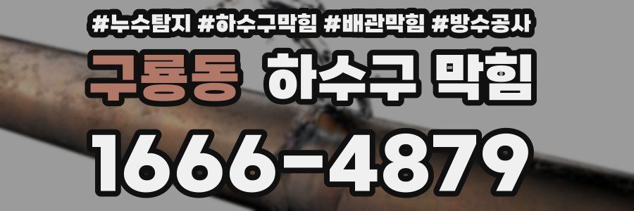 구룡동 하수구 막힘