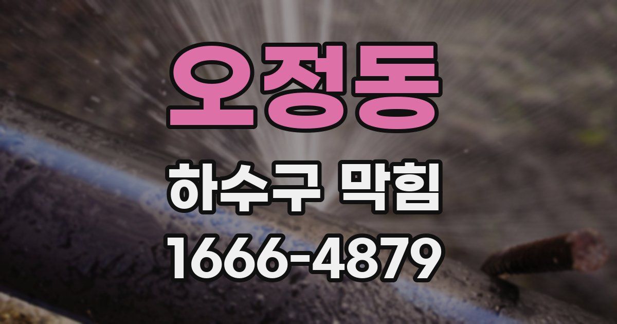 오정동 하수구 막힘