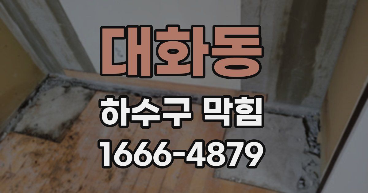 대화동 하수구 막힘
