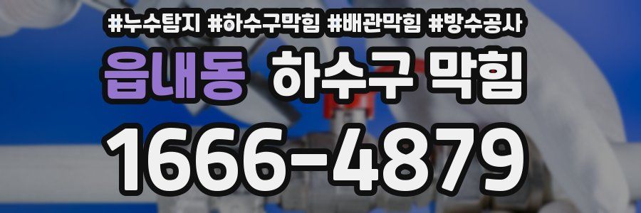 읍내동 하수구 막힘