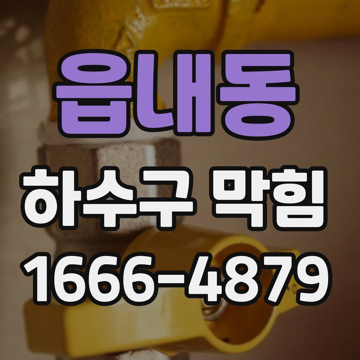 읍내동 하수구 막힘