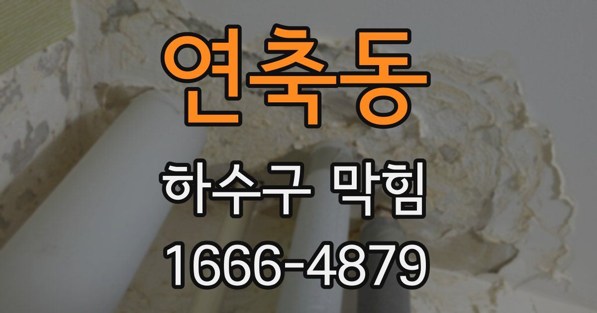 연축동 하수구 막힘