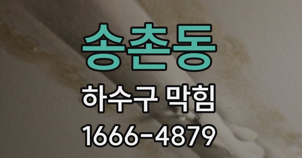 송촌동 하수구 막힘