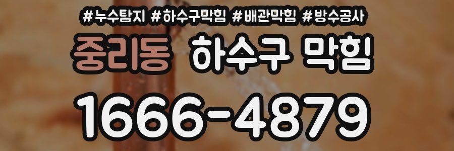 중리동 하수구 막힘