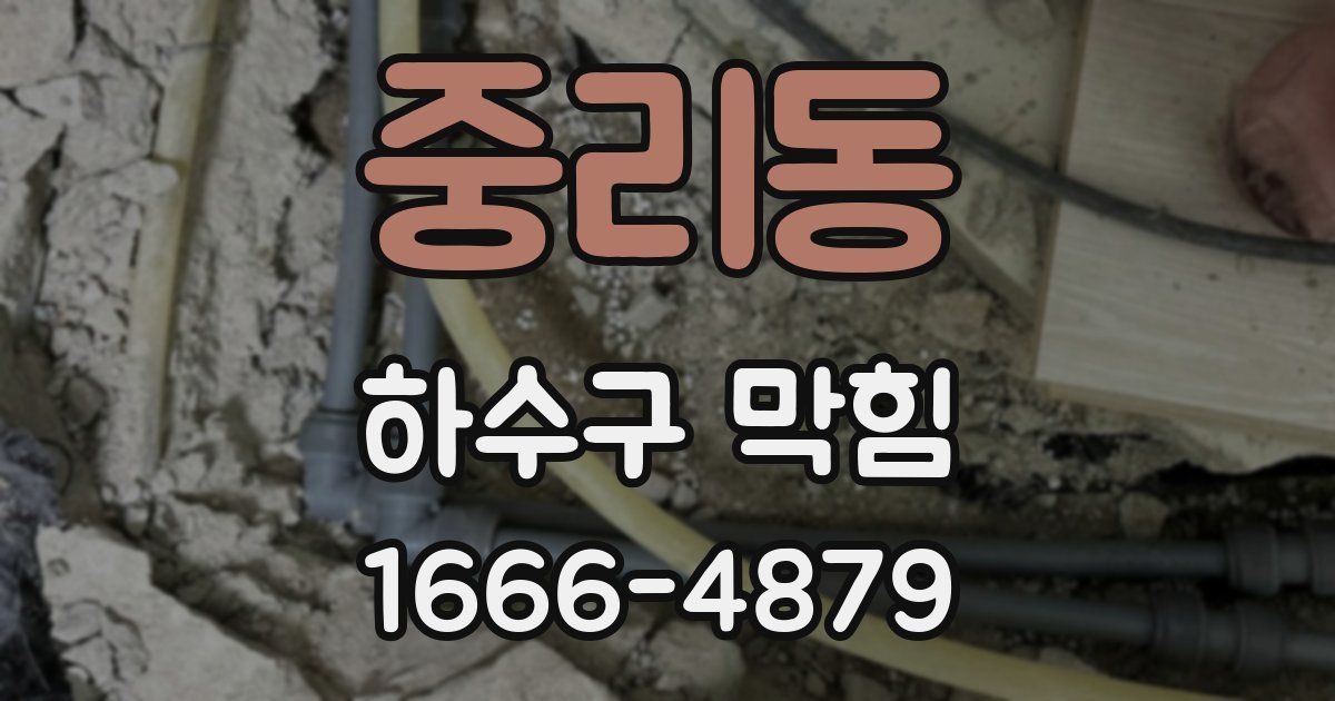 중리동 하수구 막힘