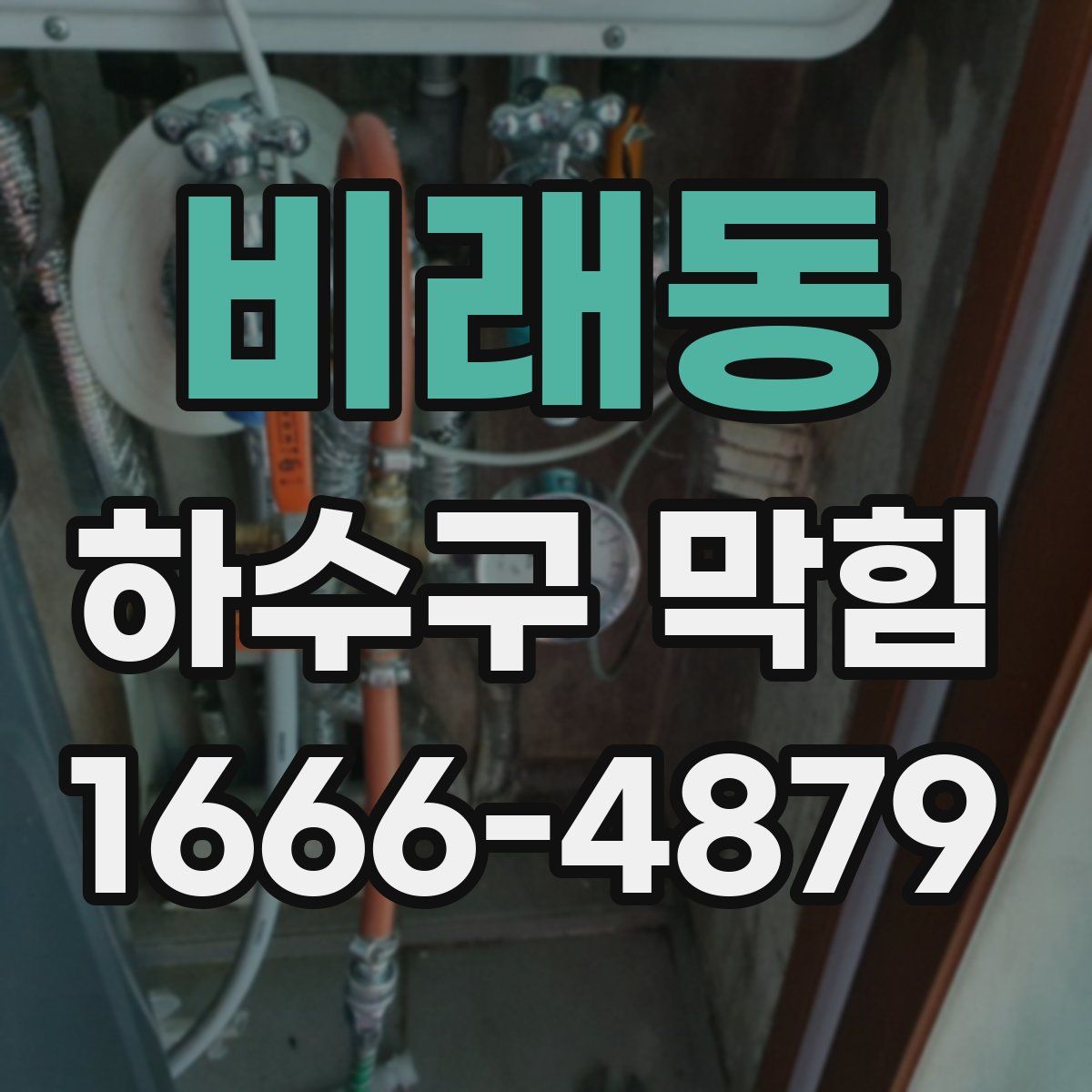 비래동 하수구 막힘