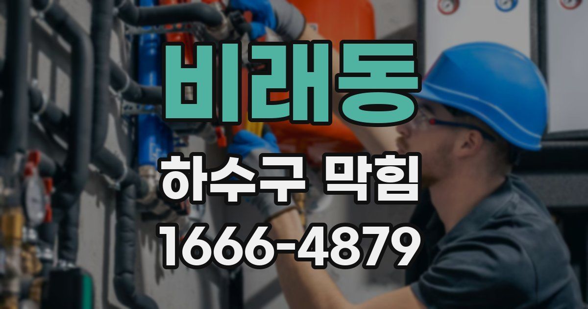 비래동 하수구 막힘
