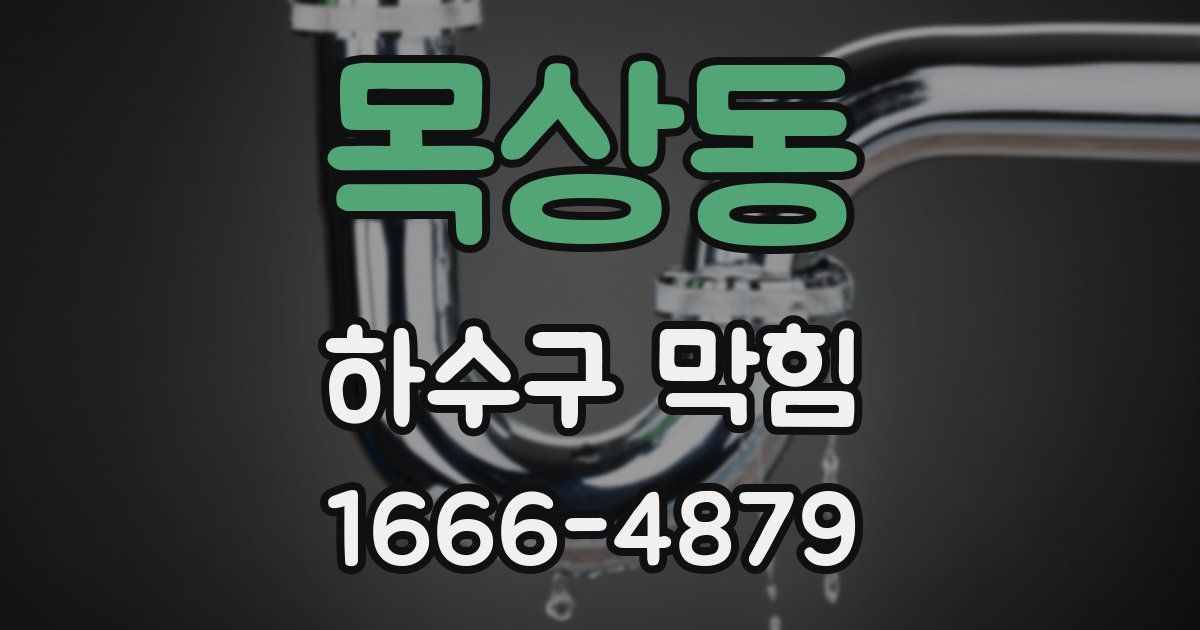 목상동 하수구 막힘