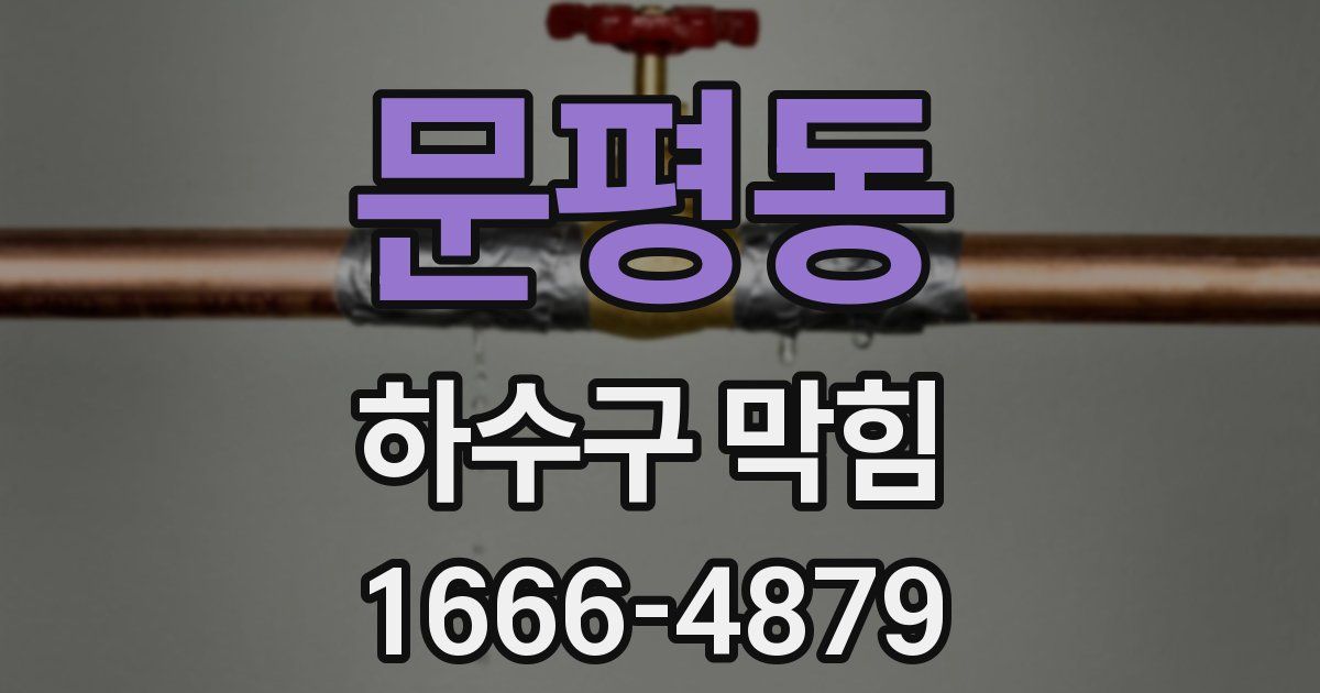 문평동 하수구 막힘