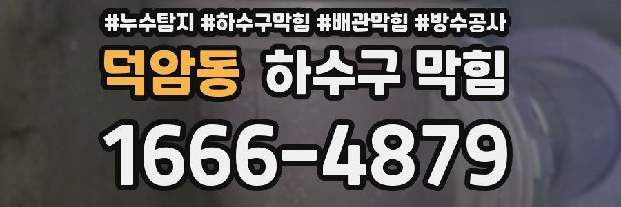 덕암동 하수구 막힘