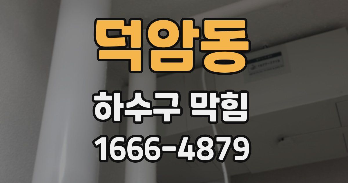 덕암동 하수구 막힘