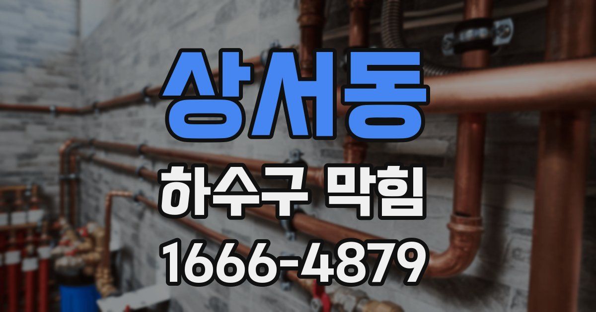 상서동 하수구 막힘