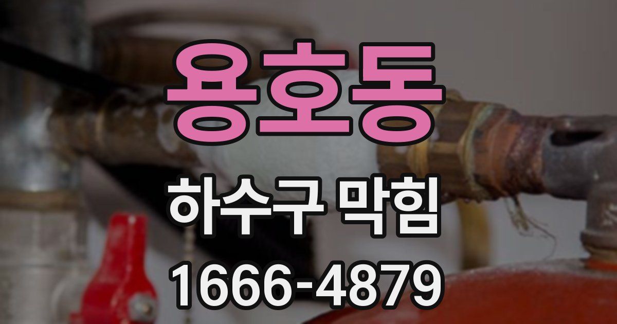 용호동 하수구 막힘