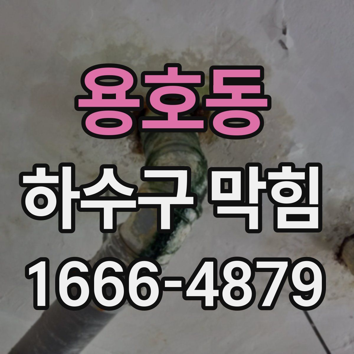 용호동 하수구 막힘