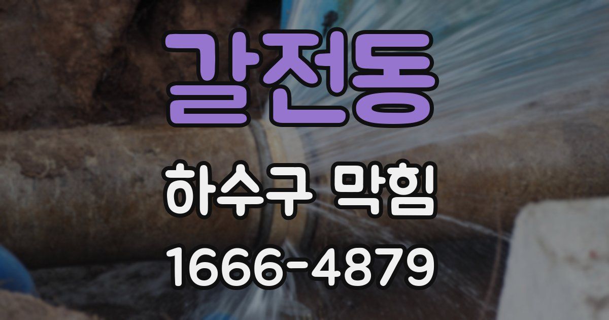 갈전동 하수구 막힘