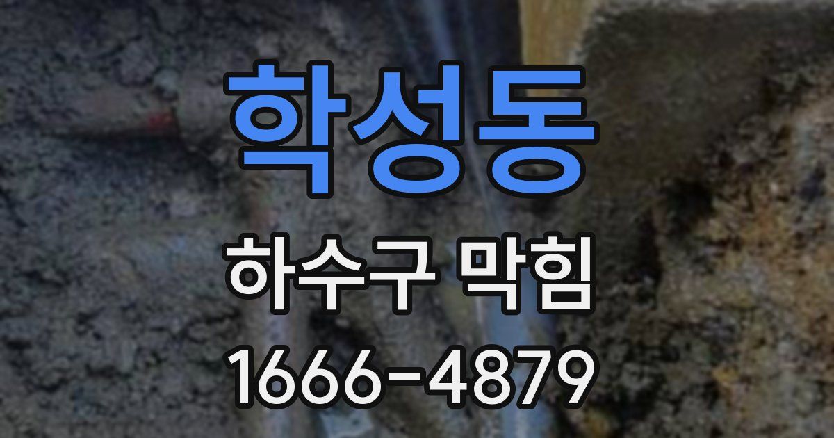 학성동 하수구 막힘
