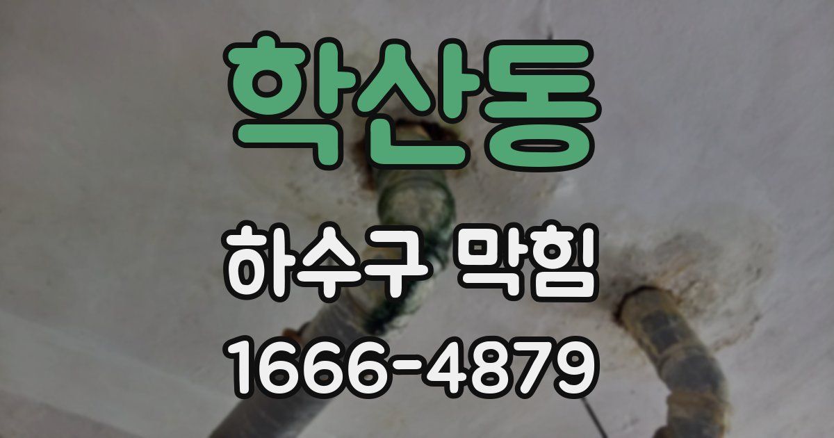 학산동 하수구 막힘