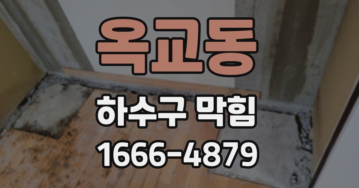 옥교동 하수구 막힘