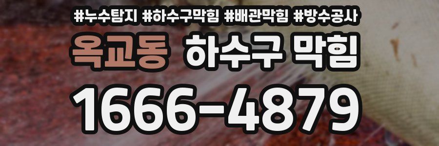 옥교동 하수구 막힘
