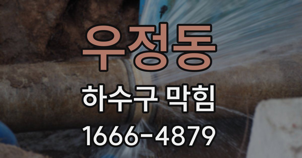 우정동 하수구 막힘