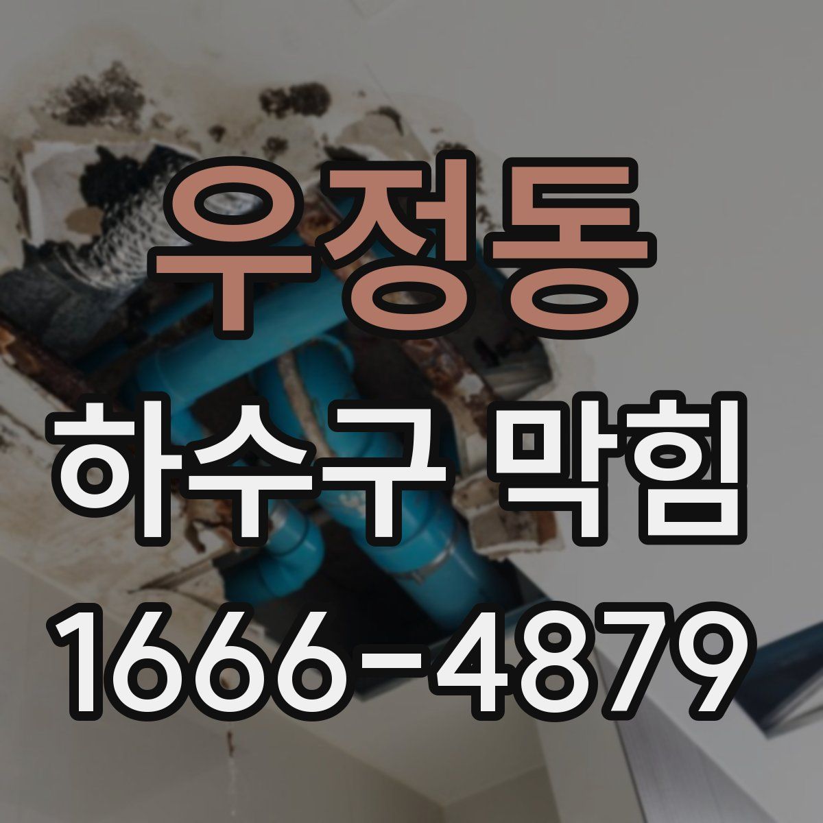 우정동 하수구 막힘