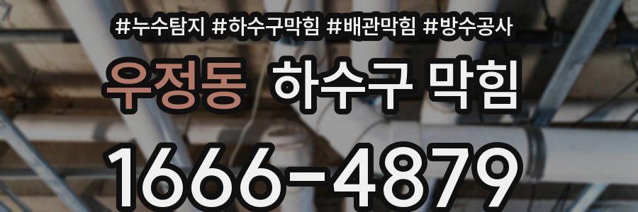 우정동 하수구 막힘