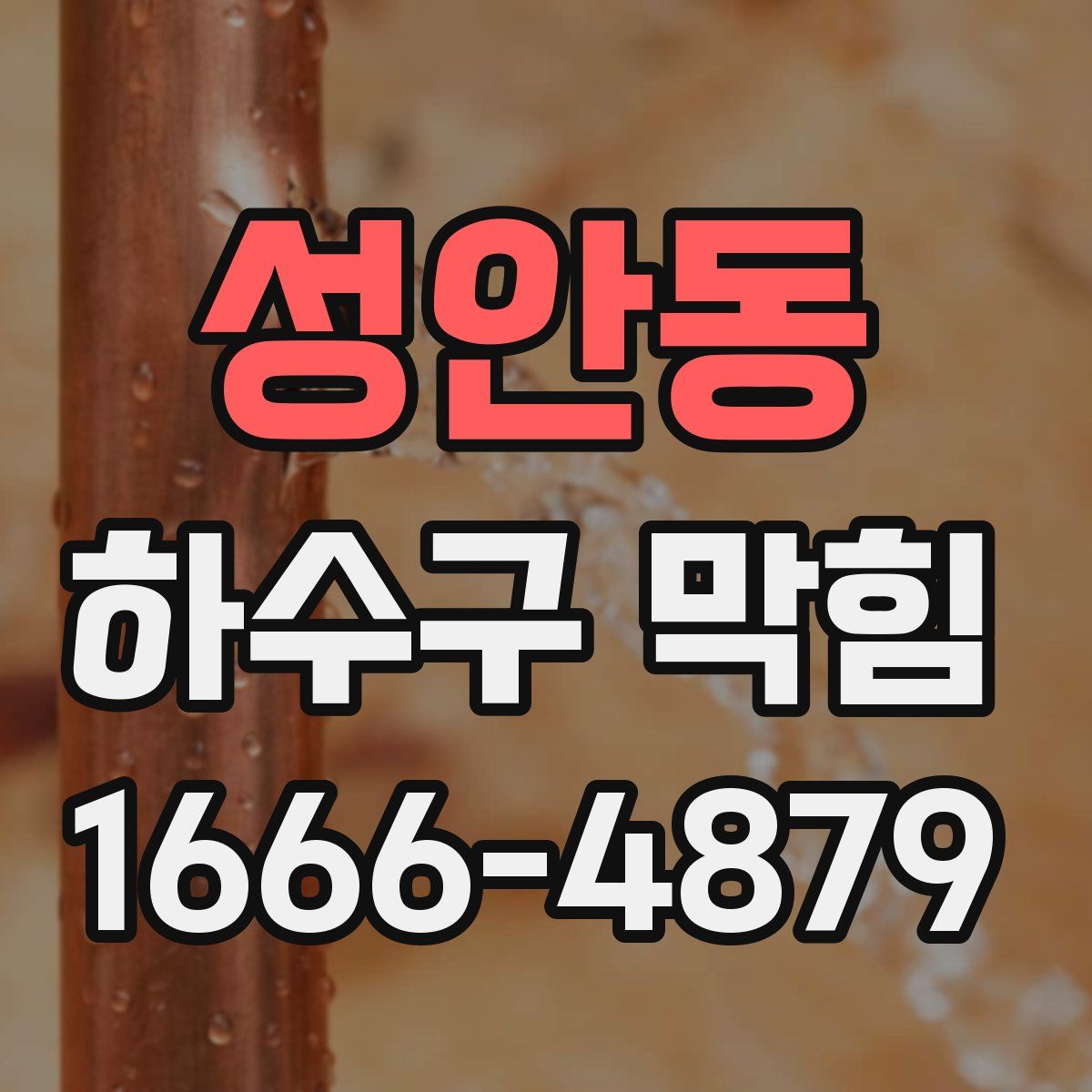 성안동 하수구 막힘