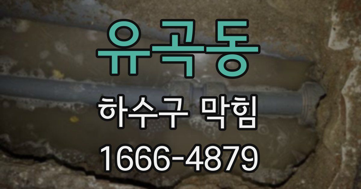 유곡동 하수구 막힘