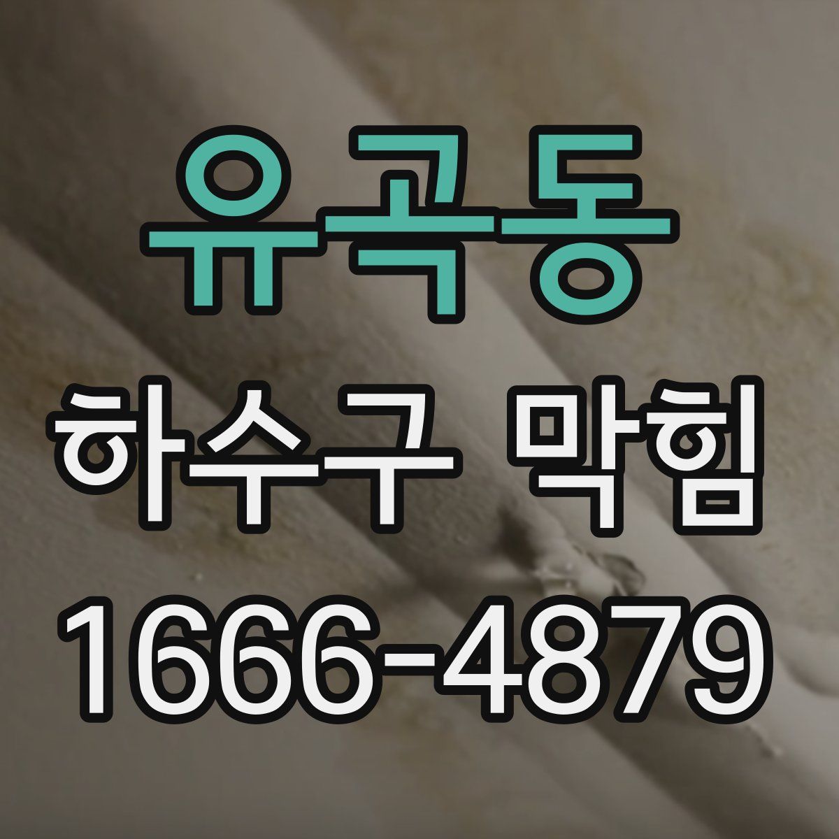 유곡동 하수구 막힘
