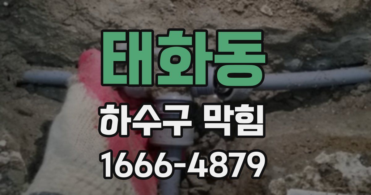 태화동 하수구 막힘